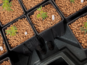 T.A. EBB&GROW hydroponisches System (ehemals GHE)