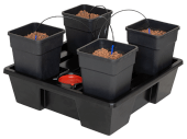 Wilma Big (L) v2 4 pots