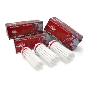 Pure Light Bloom Low Consumption CFL Bulb