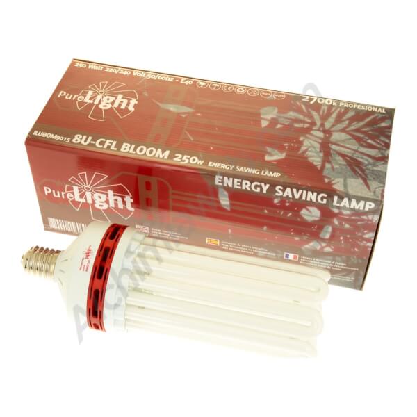 Pure Light Bloom Low Consumption CFL Bulb