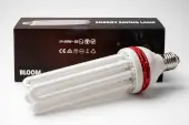 Pure Light Bloom Low Consumption CFL Bulb