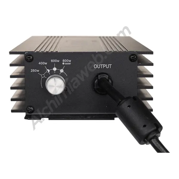 Lumii Black electronic ballast