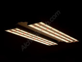 Led Phantom Pheno 480W