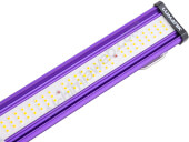 Led Lumatek 100W Full-Spectrum + Driver