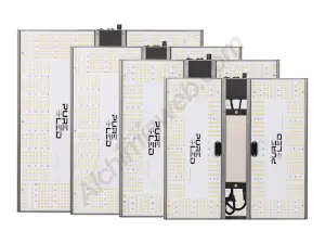 Pure Led Q v 2.0