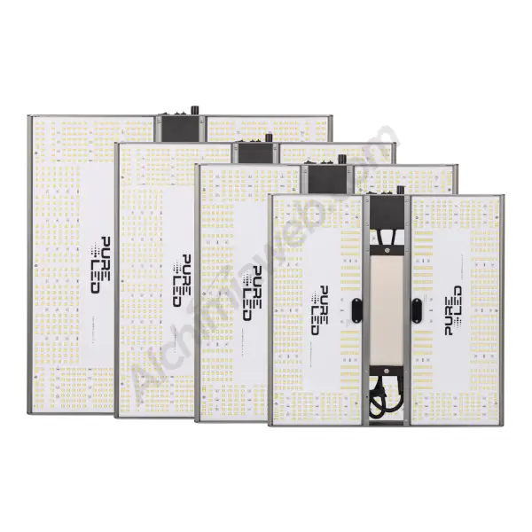 Pure Led Q v 2.0