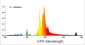 Xtrasun HPS bulb