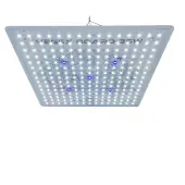 Farming Monkey Slim SMD 35w LED Growth