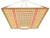 LED T1 Beast 65W