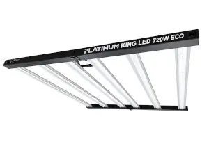 Led Platinum King Eco 720 w