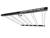 Led Platinum King Eco 720 w