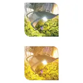 LUMii Growroom Glasses