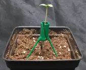 Medussa-Protect tutor for plants
