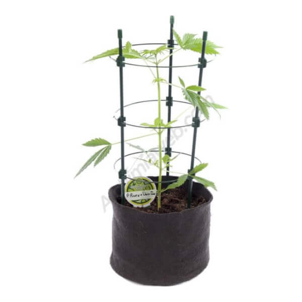 Circular Plant Support