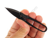 Scissors for cloning