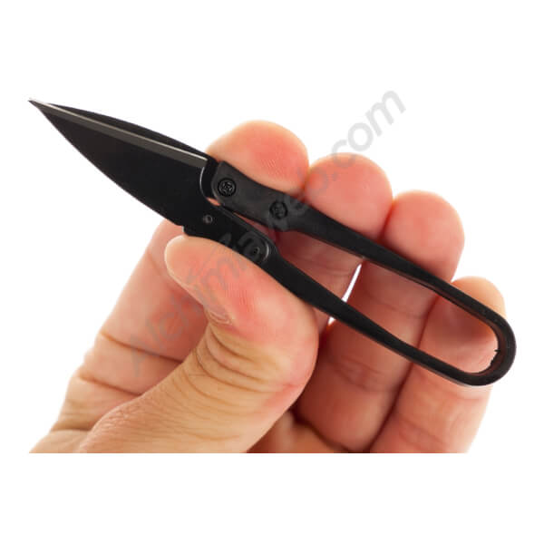 Scissors for cloning