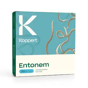 Entonem (Steinernema Feltiae)