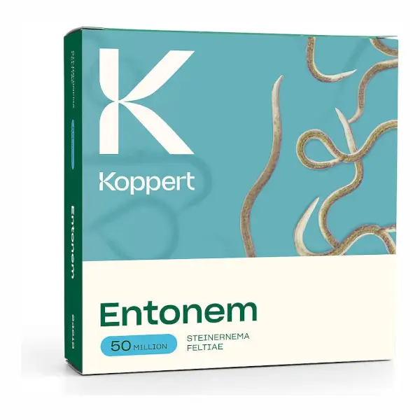 Entonem (Steinernema feltiae)