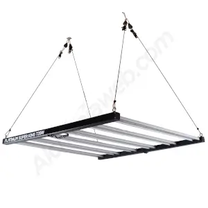Led Platinum Super King 720W