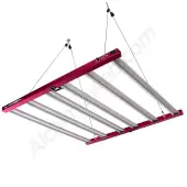 Led Aura Pro 720W Solux