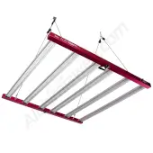 Led Aura Pro 720W Solux