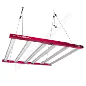 Led Aura Pro 720W Solux