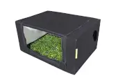Growzeit Vermehrungsschrank Propagator M