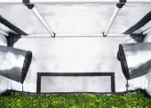 Growzeit Vermehrungsschrank Propagator M
