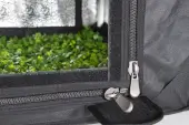 Propagation grow tent Propagator M