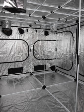 Armario de Cultivo Probox Master 240x240 V.2 