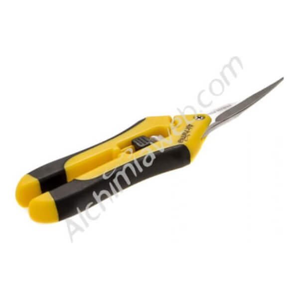 Tijeras Alchimia Bud Clean punta curva