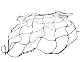 Universal elastische Netz Unterstützung - Alchi Net - Pro Net