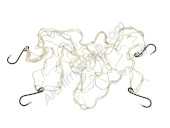  Mesh Net Elastic Support Secret