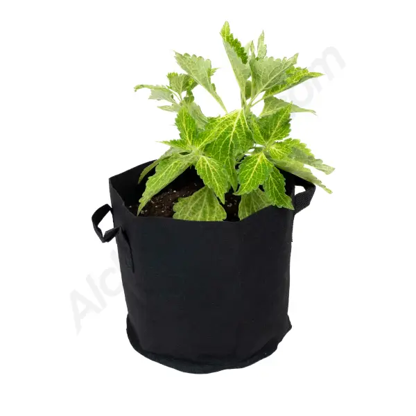 Fabric pot with handles