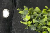 2L Fabric Pots