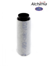 Can Lite 125/300 Kohlefilter