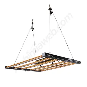Led Xplore X9 730w Dimlux
