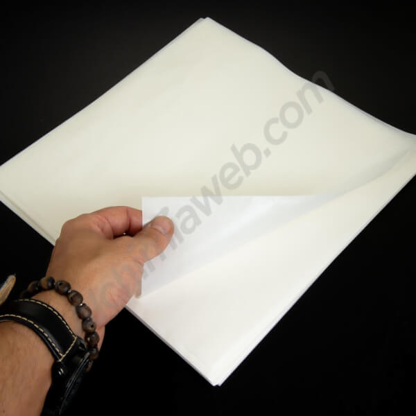 Extraction Paper Graveda