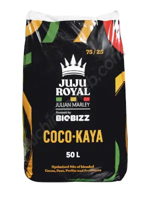 Coco Kaya Juju Royal de Biobizz