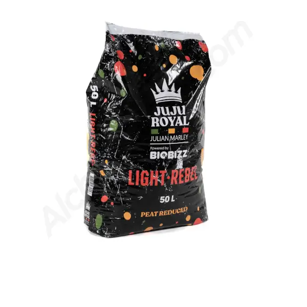 Light Rebel Juju Royal by Biobizz