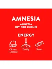 Amnesia CBD Distillate Cartridge Cali Terpenes