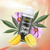 Terps Spray Gipsy Haze