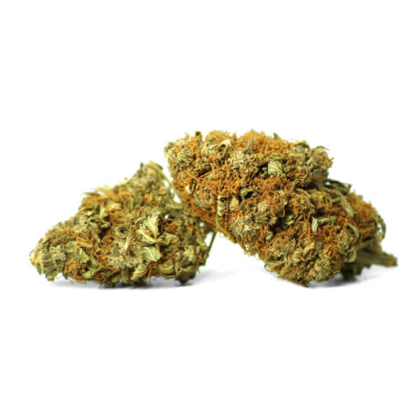 Flores de CBD Blackberry Kush Greenhouse