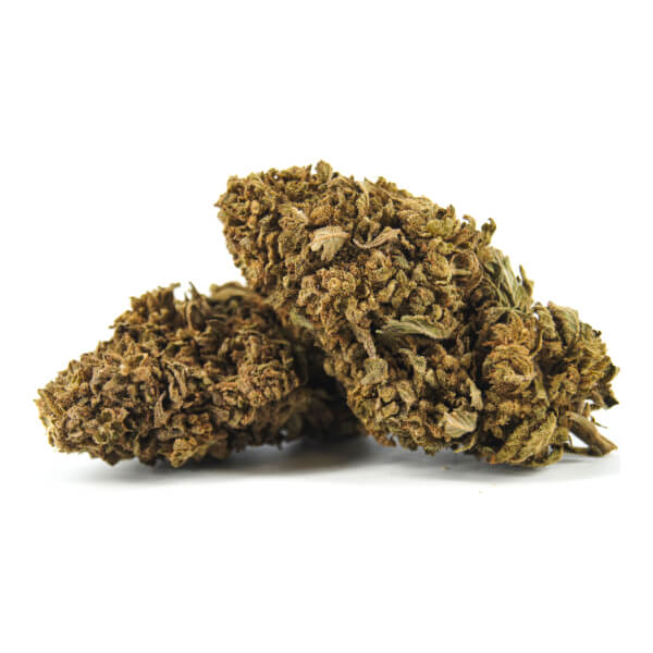 Outdoor Gorilla Glue CBD-Blüten - New Version