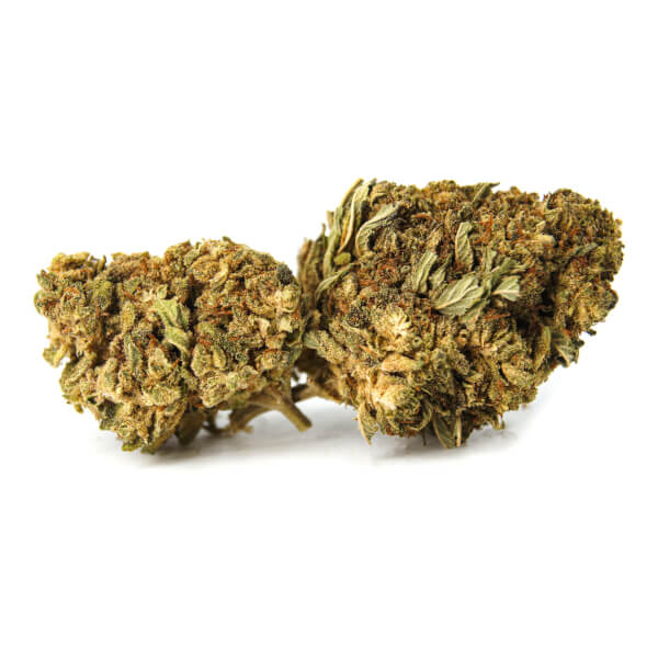 Flores de CBD Chocolate Mint Greenhouse