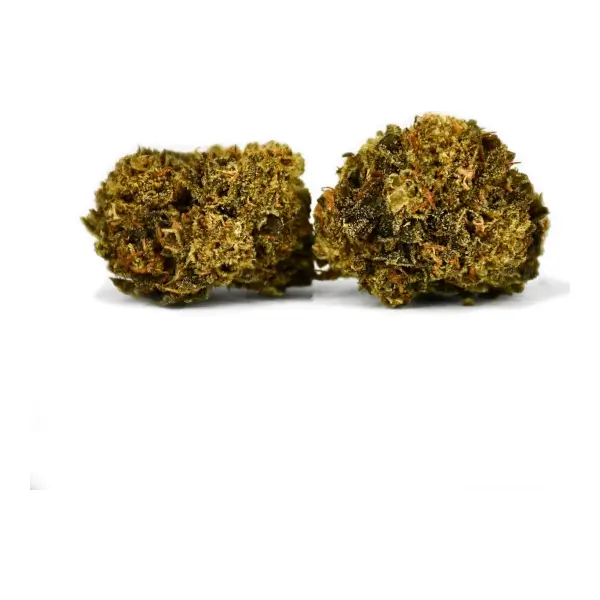 Flores de CBD Amnesia Haze Indoor