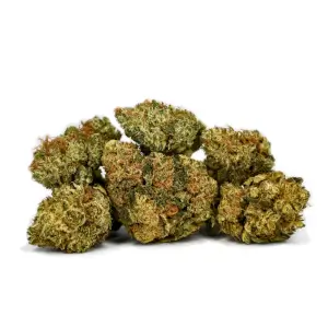 Banana Kush Small Buds Indor CBD-Blüten