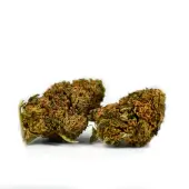 Flores de CBD Fruity Pebbles Outdoor