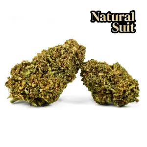 Flores de CBD Chanel XL Greenhouse 