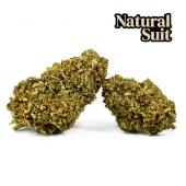 Flores de CBD Chanel XL Greenhouse 